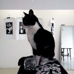 PiratePiska Platonik Pop Up Shop 6